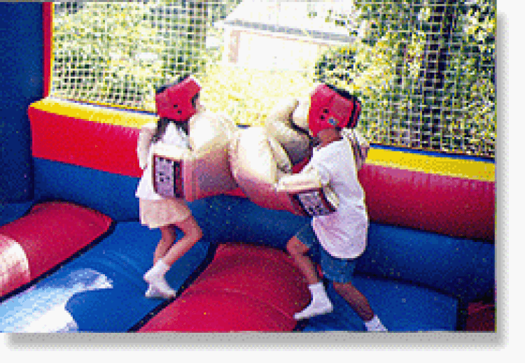 Inflatable Bouncy Boxing Ring